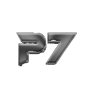 P7 Serviços